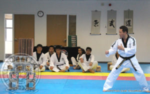 jihochoi-taekwondo-institute-grand-master-choi-breaking-6-cement-blocks-a-fl