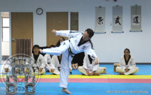 jihochoi-taekwondo-institute-grand-master-choi-breaking-6-cement-blocks-d-fl